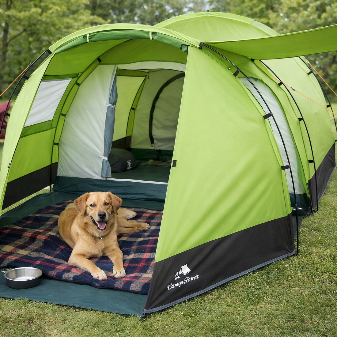 Camping mit Hund – entspannt unterwegs mit dem Vierbeiner